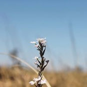 Tamara Lawton's photo