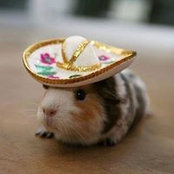 Sharon Perry's photo