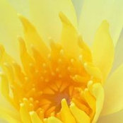 Ana Marin's photo