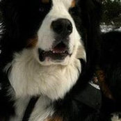 Foto von Maureen Smerling