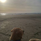 Michelle Rensel's photo