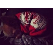นาย ขอบขัน ก้นกะละมัง's photo