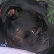 Fernie Carlesimo's photo