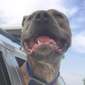 Jennifer Bollinger's photo