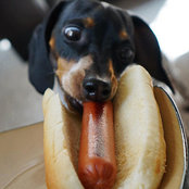 David Bond's photo