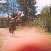 Foto von Seid Mohammed Ail