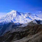 Brandon Edwards's photo