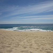 Toni Schmidt's photo