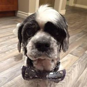 Sherry McFarlane's photo