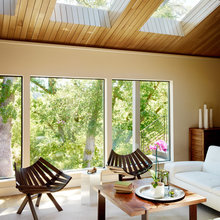skylights