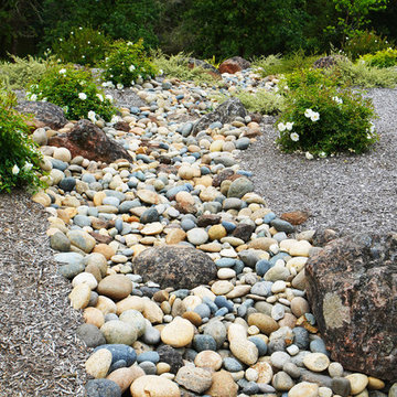River Stone Stream Bed
