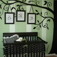 Baby Porter