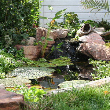 Koi Ponds and Water Gardens