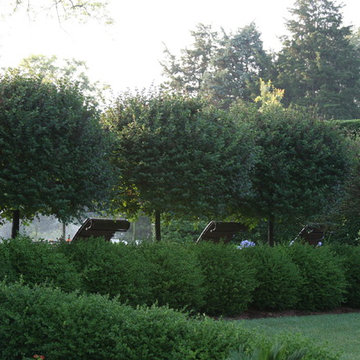 North Oliver