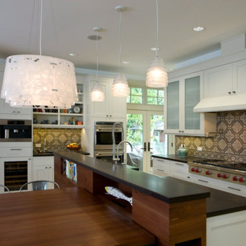 Green New Home Construction - Wilmette, IL