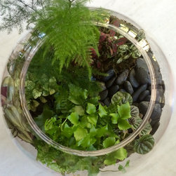 Green Life Terrarium - Products