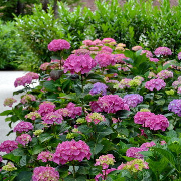 Timeless country garden