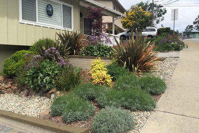 This is an example of a mid-sized front yard full sun formal garden in San Francisco.