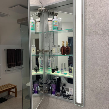 Robern Medicine Cabinets with Vertical Lighting and Lots of Storage
