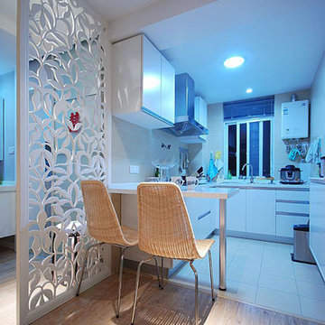 Contemporary Design Kitchen Ideas