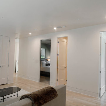 Contemporary Auline