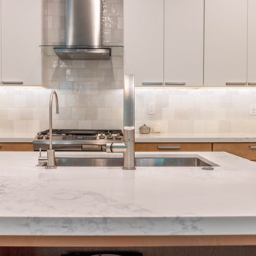 Amber Lane - 4 week kitchen remodel