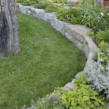 Garden - sideyard