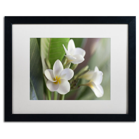 Pierre Leclerc 'Plumeria Bloom' Matted Framed Art, Black Frame, White, 20x16