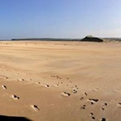 Naoise Gordon's photo