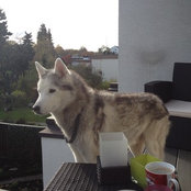Foto von barkley0410