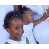 Noel Carroll's photo