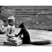 David Mattson's photo