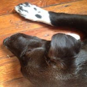 Mikey Schuering's photo