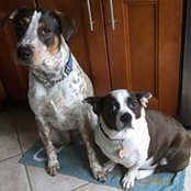 Denise Lyon's photo