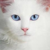 Deborah Baldwin's photo