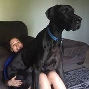 Tracy Muhl Shaw's photo