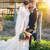 Brent Morello's photo