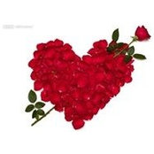Violette Quaranta's photo
