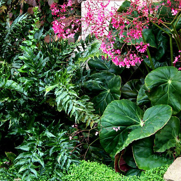 ITALIAN GARDEN