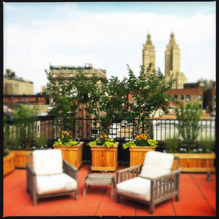 Foto di una terrazza contemporanea sul tetto con un giardino in vaso