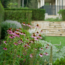 Landscape Ideas