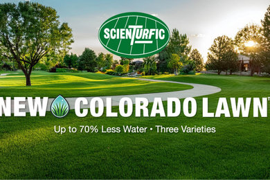 Inspiration for a landscaping in Denver.