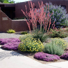 Kimberly Bowers's Ideas