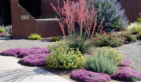 Xerojardinería: Cómo diseñar un jardín ecológico en climas secos