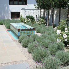 Greg house (southwestern Modern)