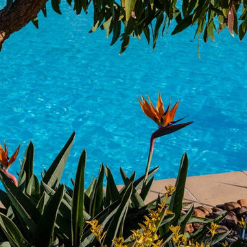 Large Natural Tropical Pool & Landscape