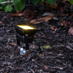 Dunwoody, GA Backyard Lighting Project Wash Light - Outdoor Flood And Spot Lights