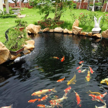 Custom Pond & Water Feature Installations