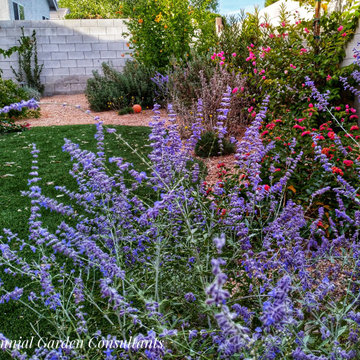 Fall Flower Fireworks