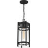 Tofino One Light Hanging Lantern, Textured Black / Clear Glass